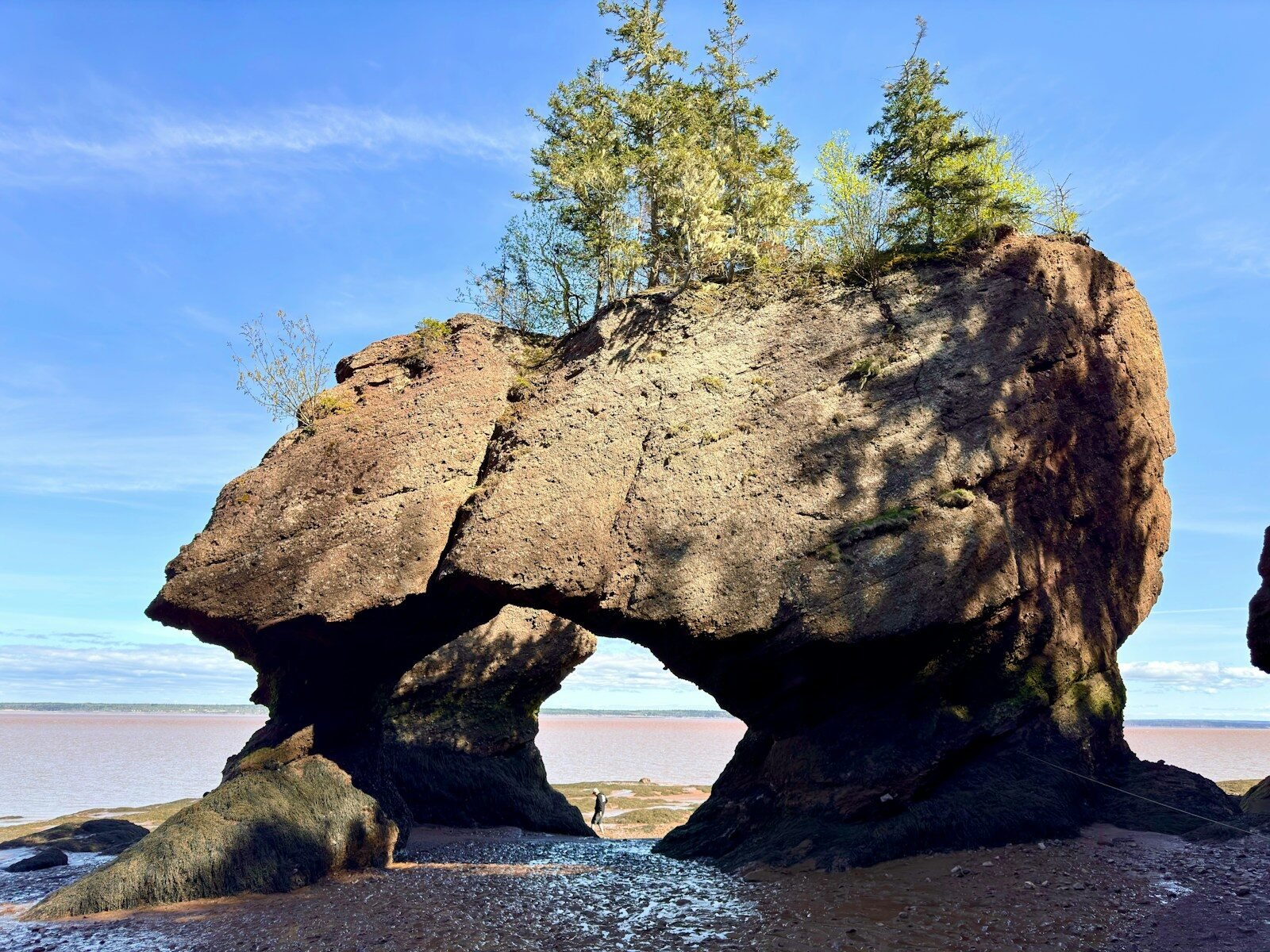 a large rock formation with trees on top of it